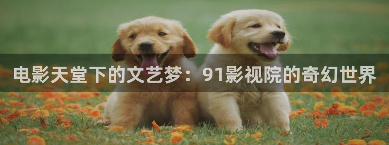 奇优影视旧版本官网